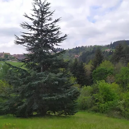 Campsite Tiny House De La Cote Roannaise